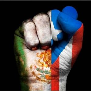 Meet your Posher, Ingrid